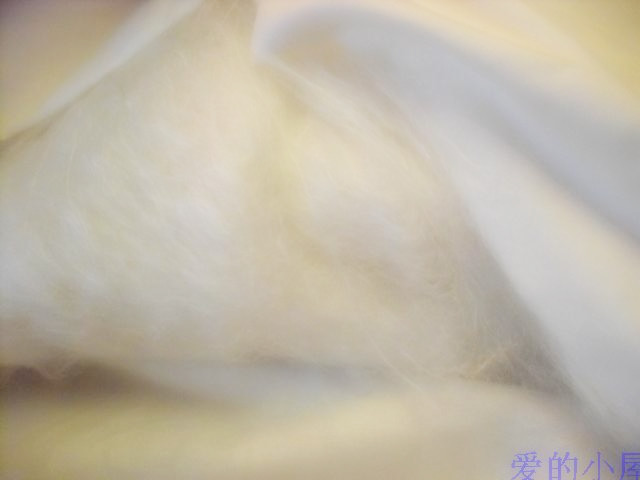 352_568804_6fc0298232d71d7.jpg