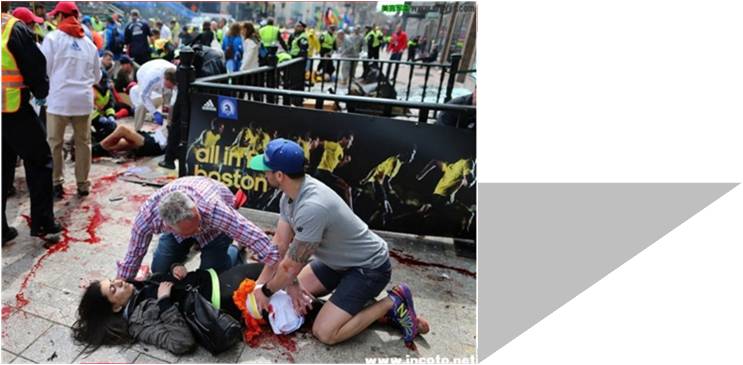 【总结】寓教于乐,试水全民科普公益推广计划