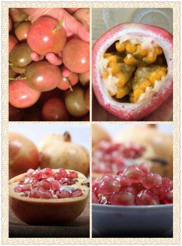 注意啦!年底要买水果的单位注意啦!我家的果果