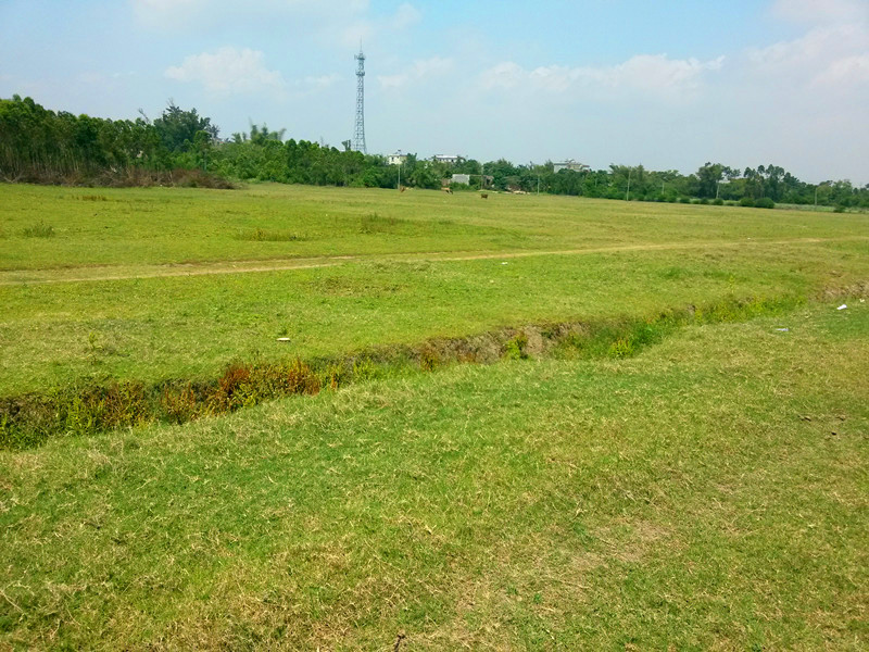城事特搜 2015第十一期(总第三十九期):镜头下