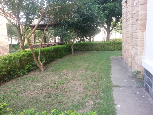 一夜回到解放前,出售云南路3面光别墅,占地8X