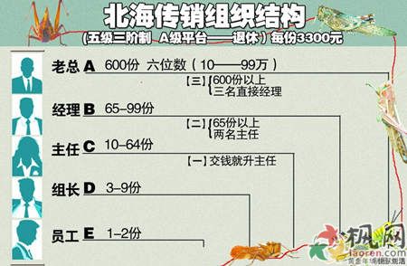 最新【报道】1040阳光工程老总上总后,1040最真实揭秘