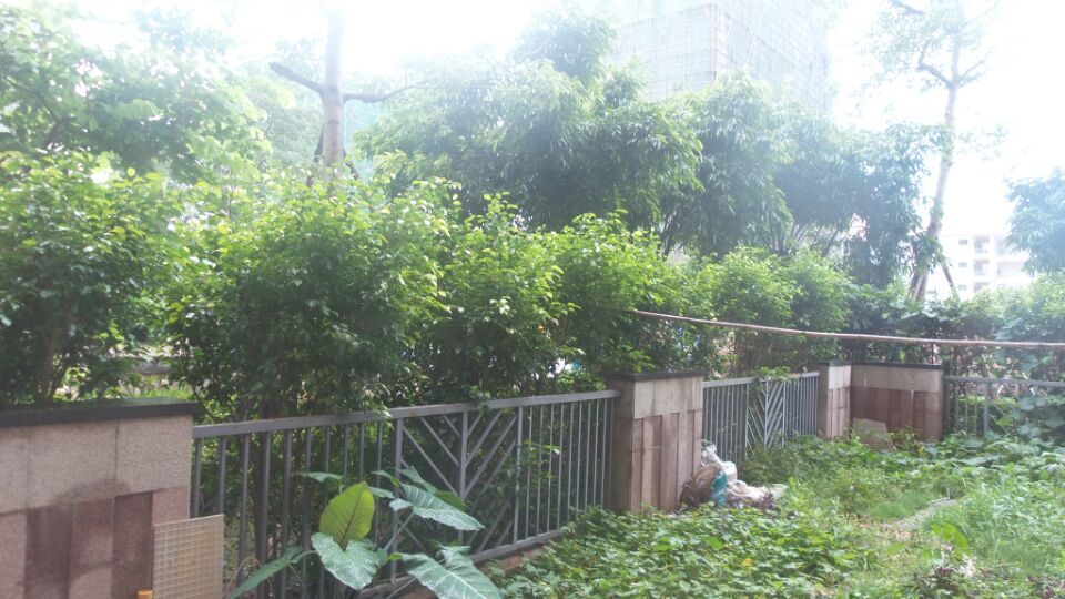 海岸华府一楼200平方使用面积的房子出售110