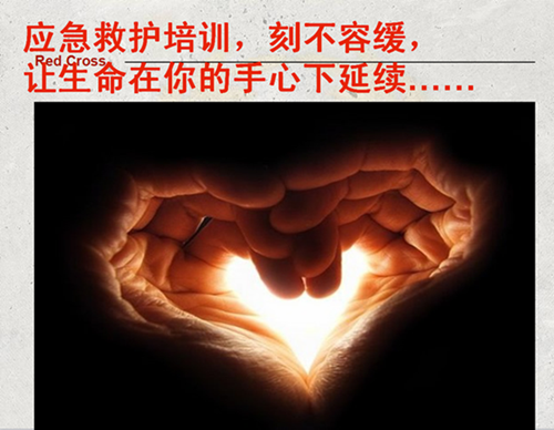 【总结:20150619】急救知识知多少-记珍珠湾