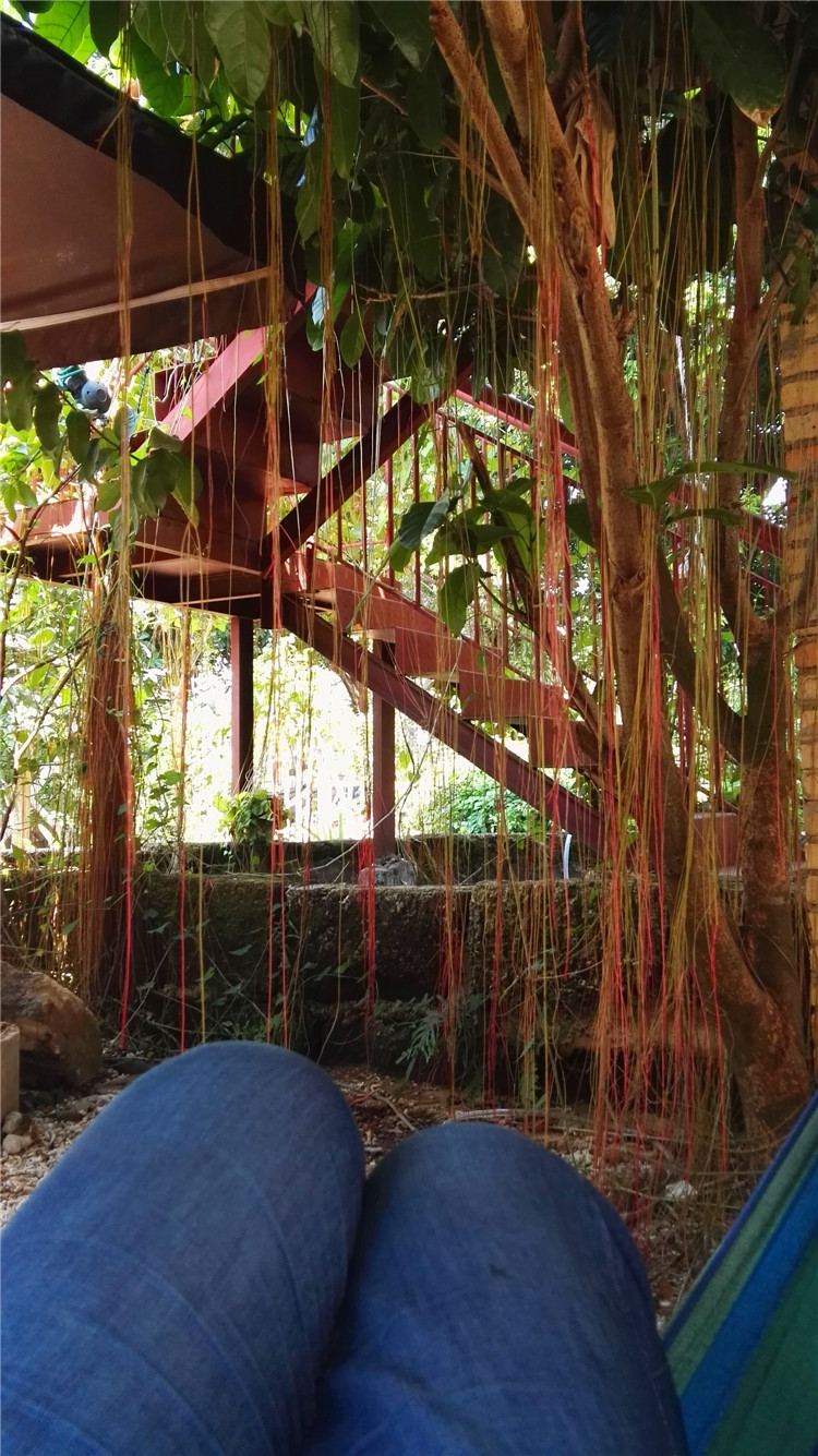 我们在涠洲岛停航的四天三夜-游山玩水-北海3