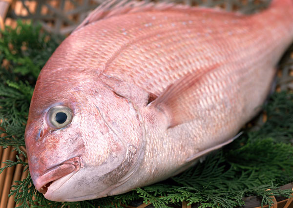 吃货,补充了腊鱼的学名:黑腊学名叫黑鲷,黄脚腊学名黄鳍鲷,红腊叫红鲷