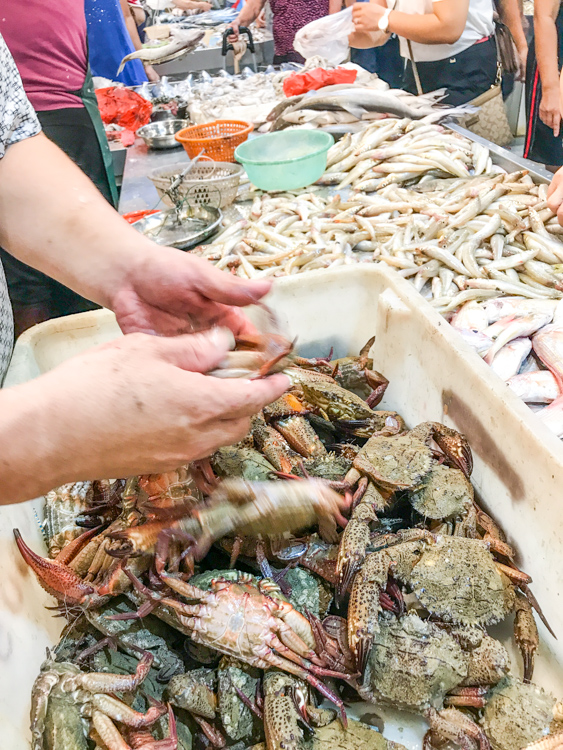 开海几天了,吃货攻陷北海各菜市场!可是…海鲜价格真