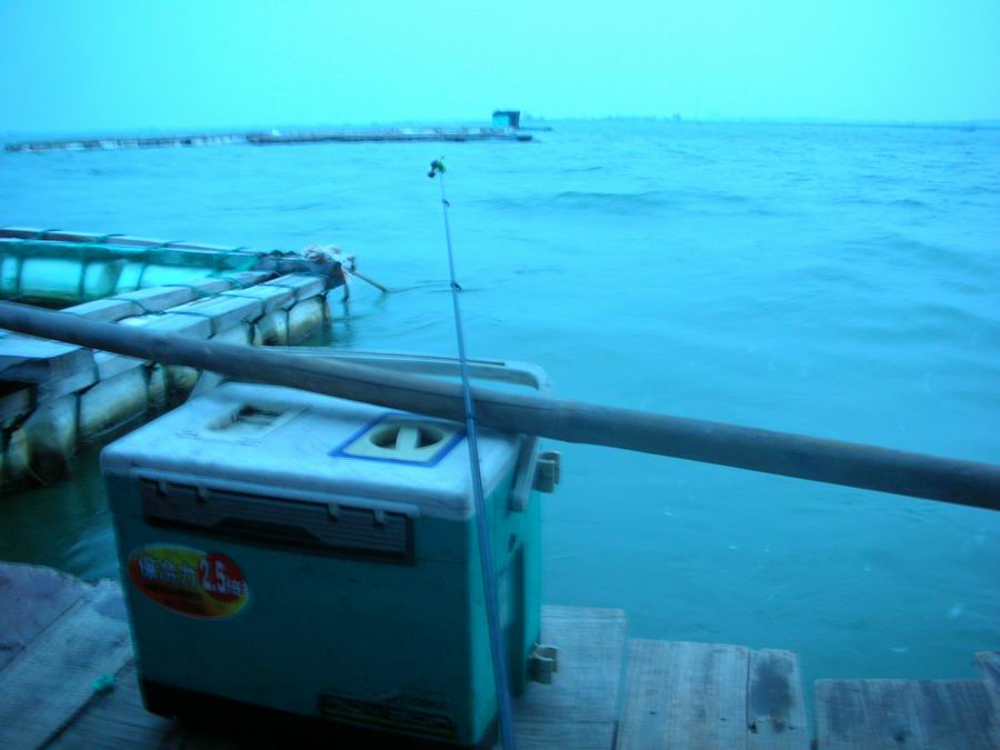 台风过后的赤江夜钓 - 爱钓鱼的鱼 - 个人空间-交