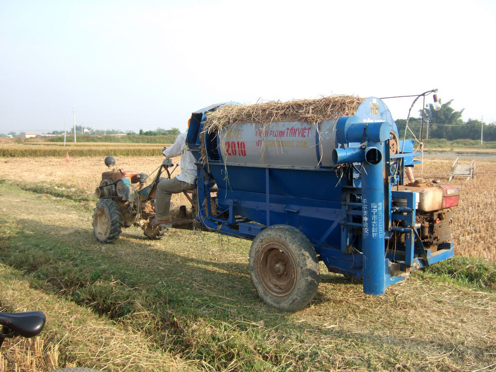 秋天美在田野里 --带你去看已被淡忘的珠乡合浦