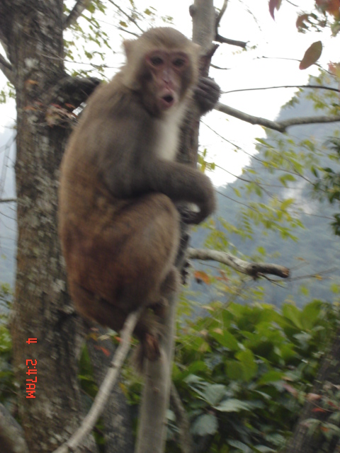 无眼睇了,补充几张他没有的-快乐乒乓-北海365