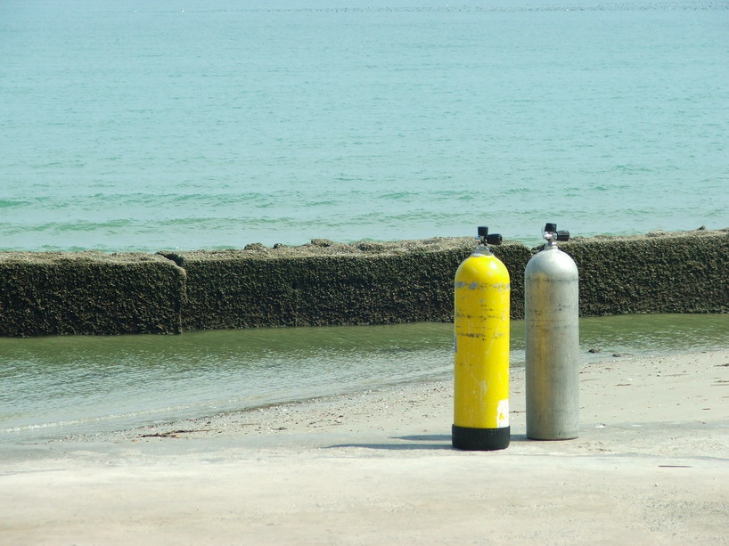 DSCF1816_resize.JPG