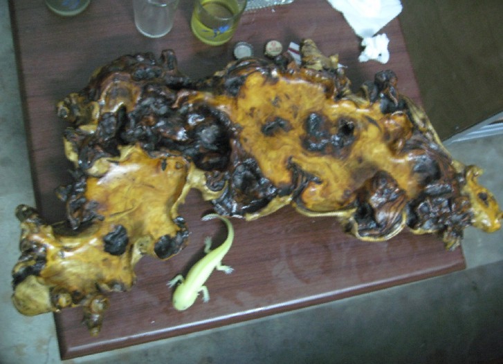 再发件姜木茶托给大家看下~~-收藏鉴宝-北海3