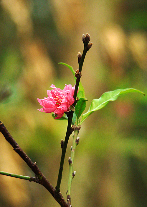 20081004_d6c06a6c7859f1deee17YHQisC4ClrS1.jpg