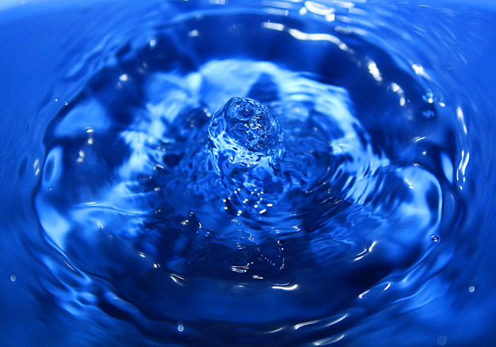 20081104_3ca7a6875359d87defb75mxfKauZph5q.jpg