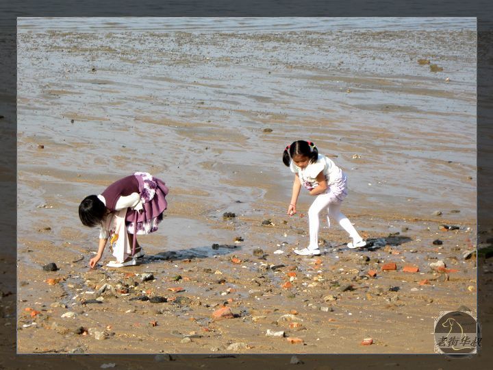 海滩拾贝