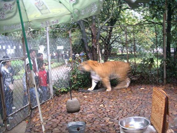 照片 139.jpg