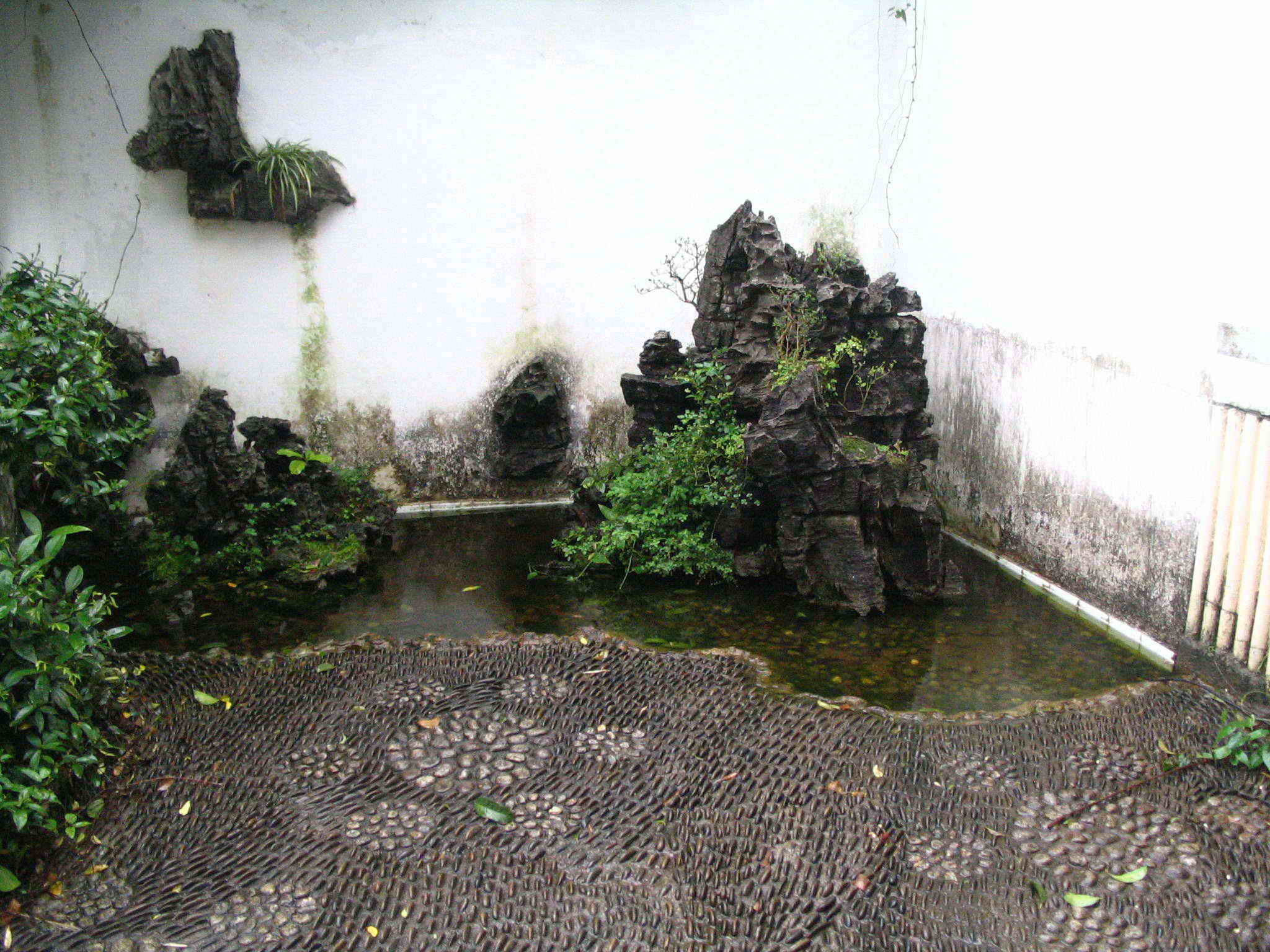 照片 180.jpg