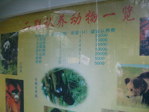 照片 145.JPG