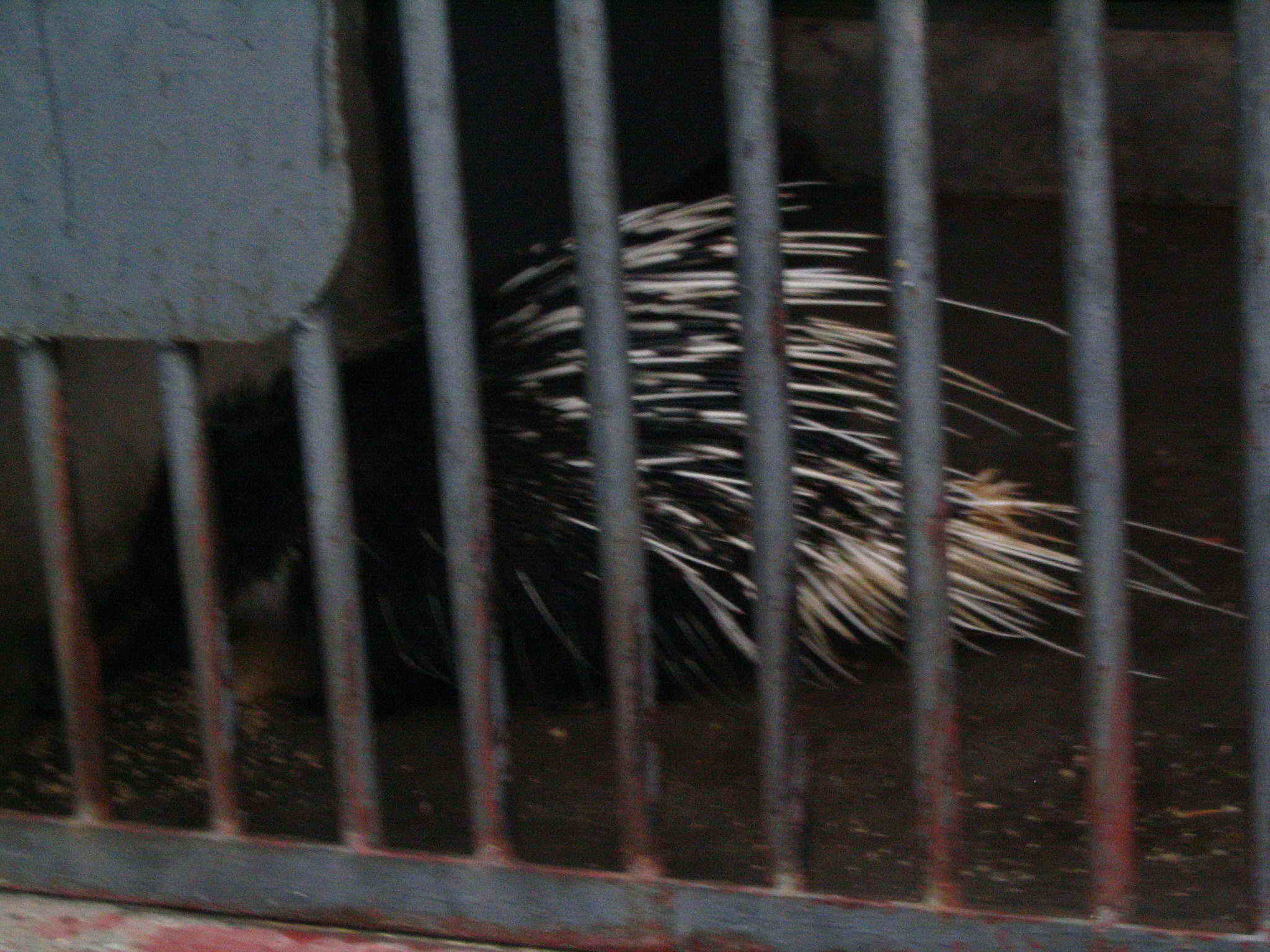 照片 179.jpg