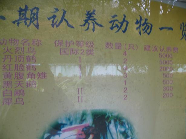 照片 137.jpg