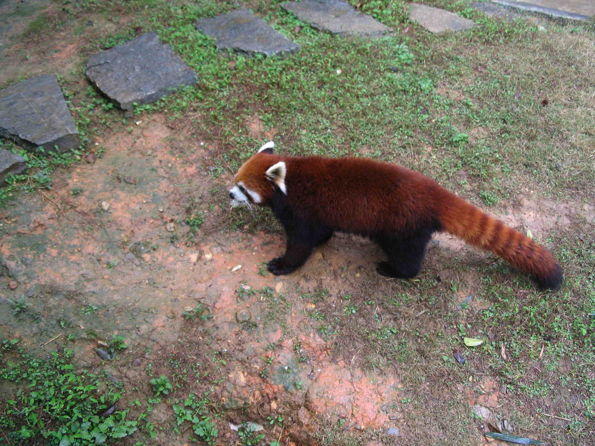 照片 130.jpg