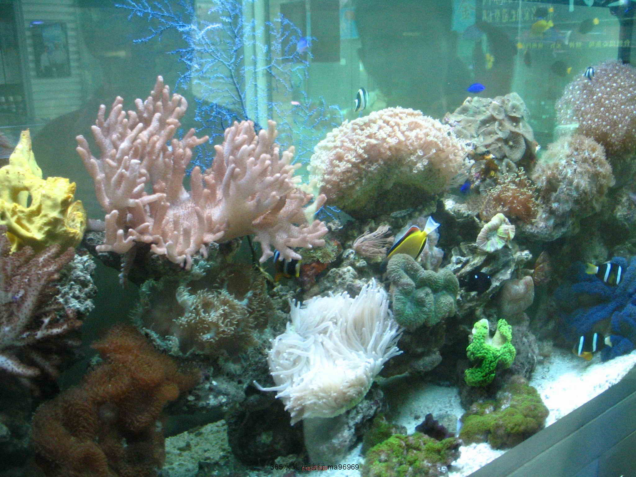 070505 046.jpg