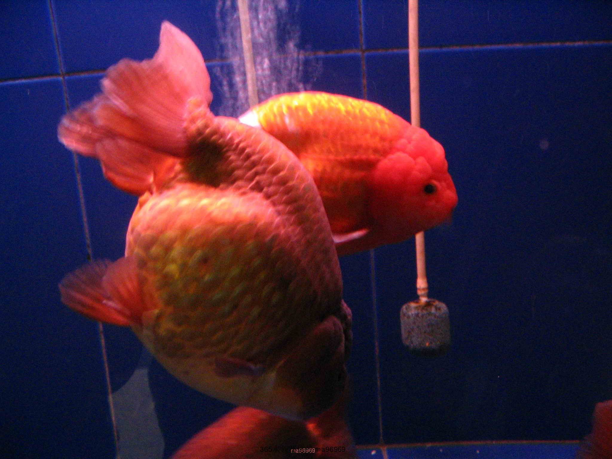 070505 066.jpg