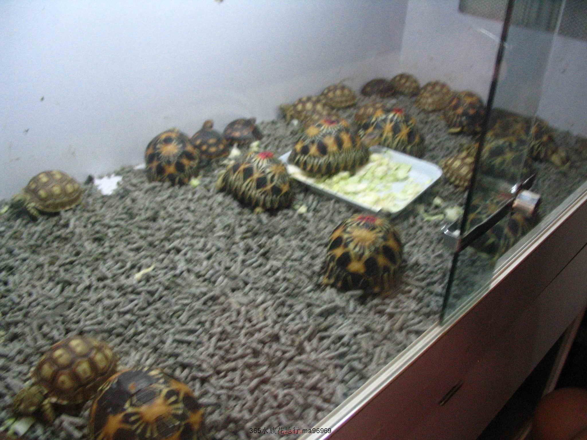 070505 017.jpg