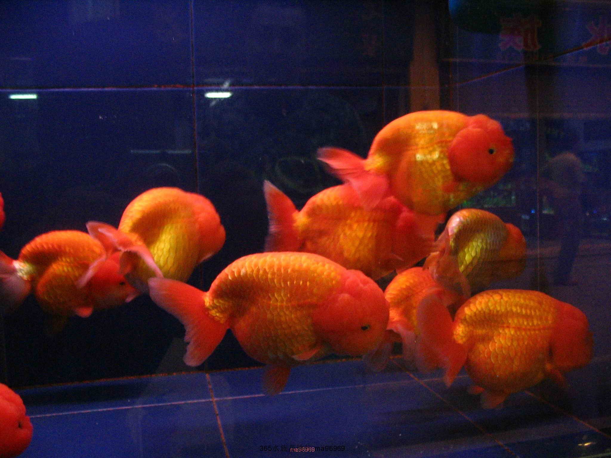070505 067.jpg