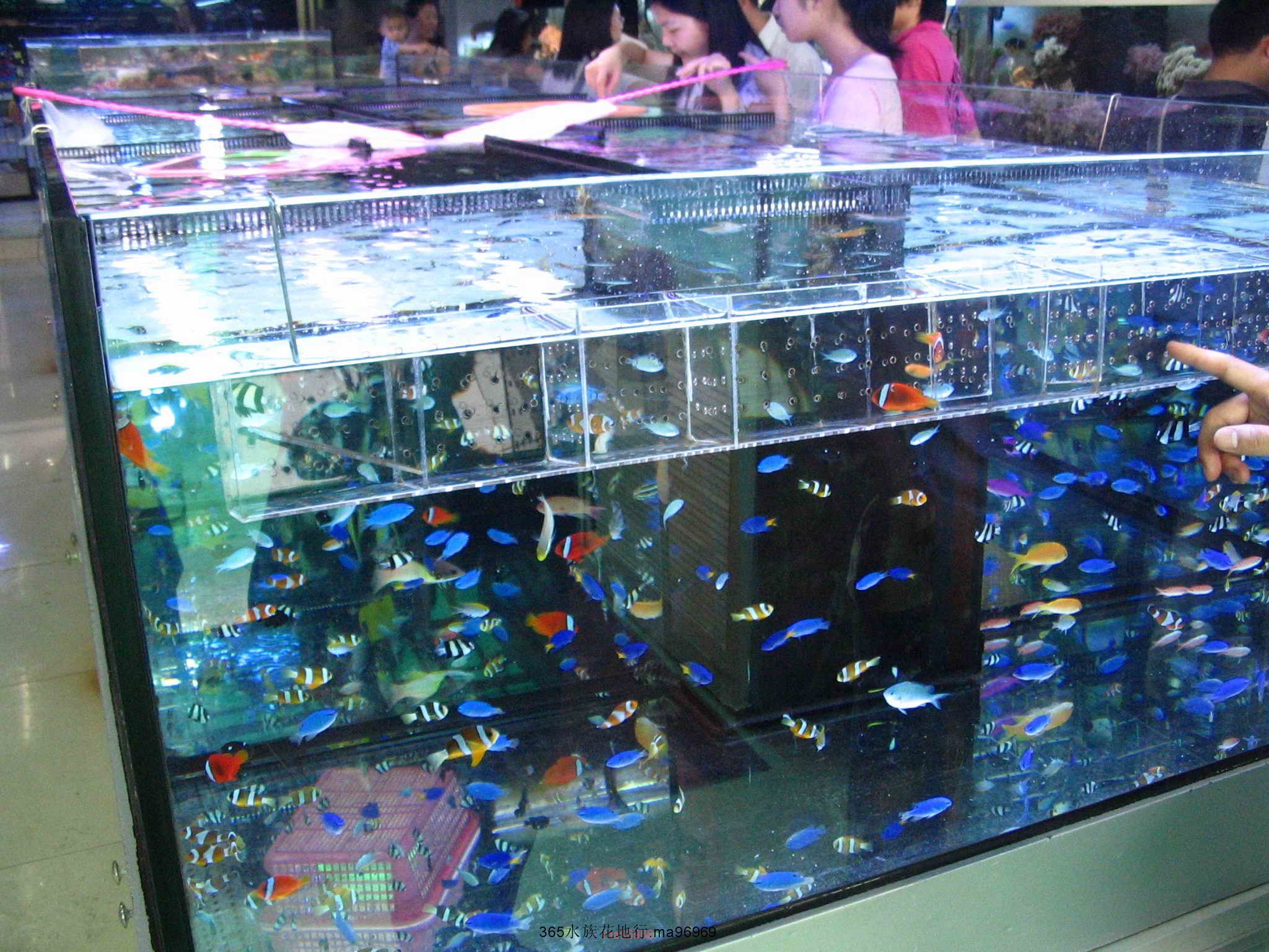 070505 043.jpg