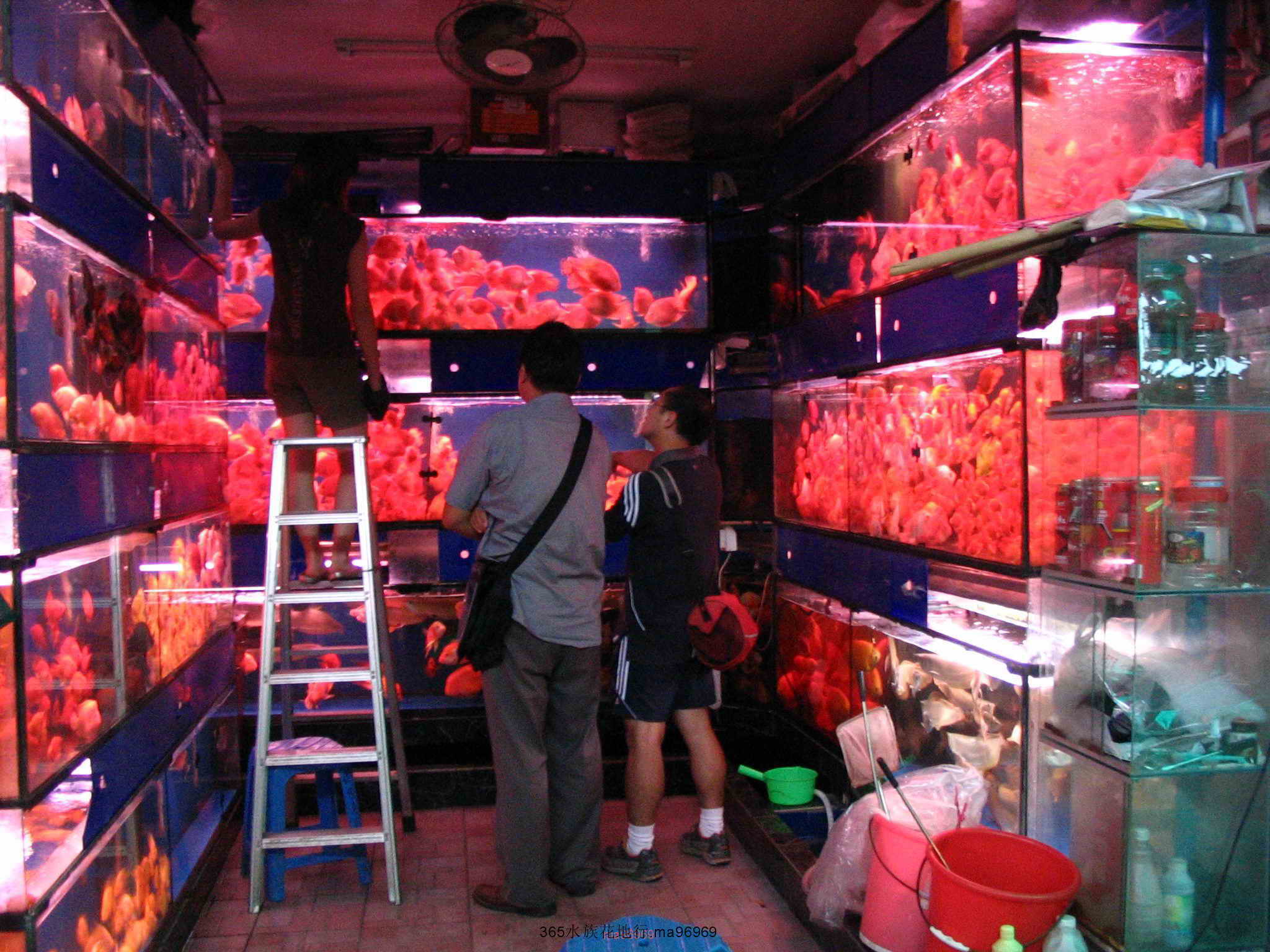 070505 152.jpg
