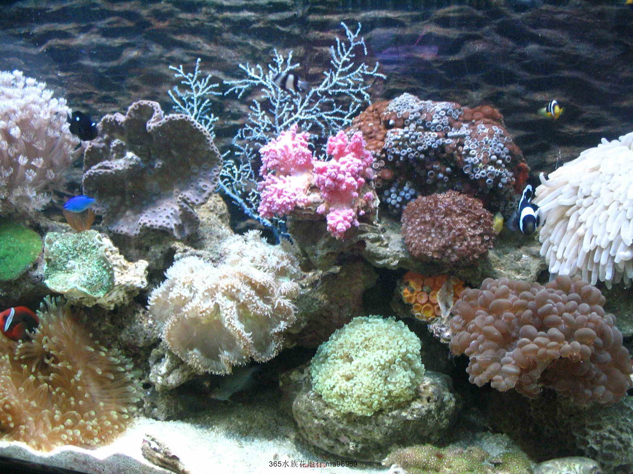 070505 047.jpg