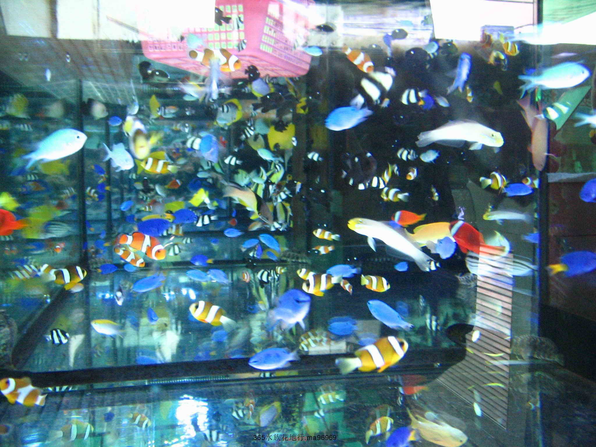 070505 044.jpg
