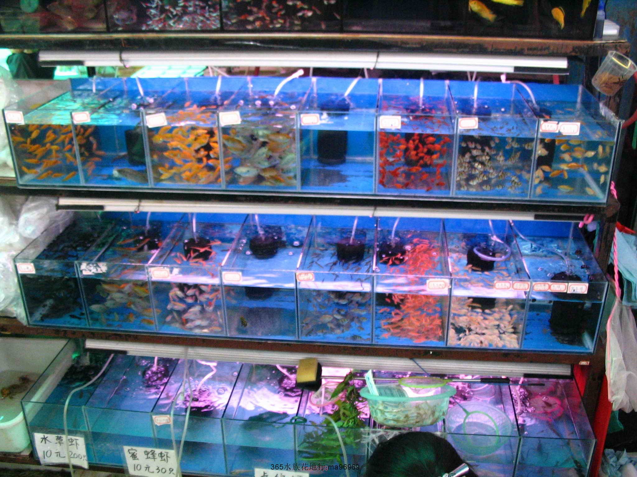 070505 031.jpg