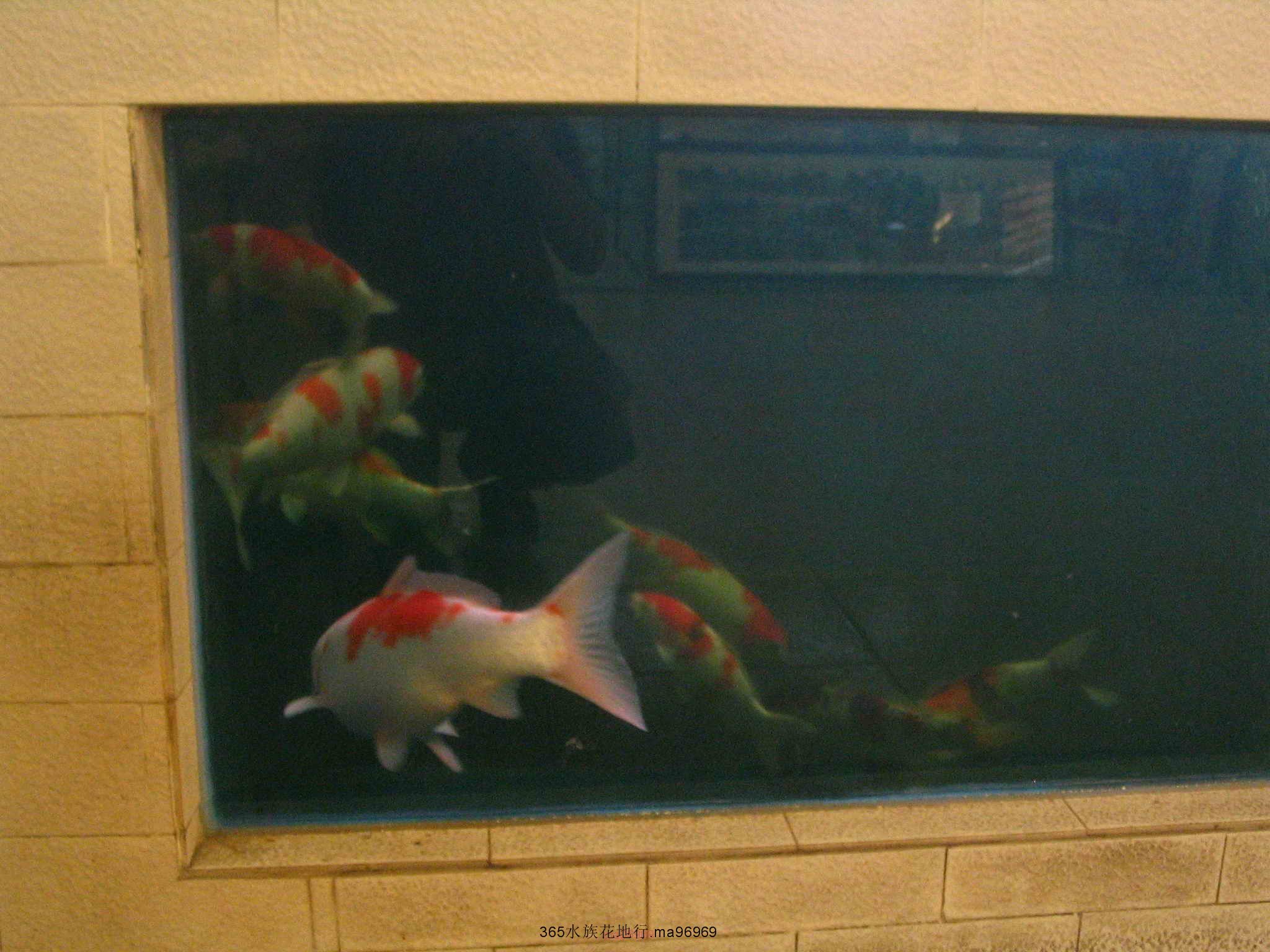 070505 082.jpg
