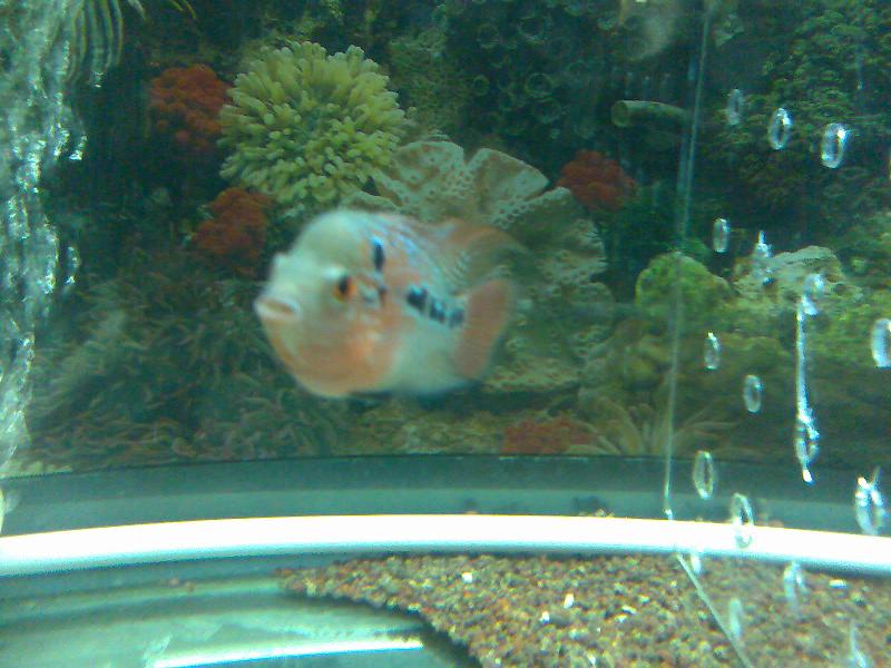 新手养鱼,话多指教。-休闲水族-北海365网(bei