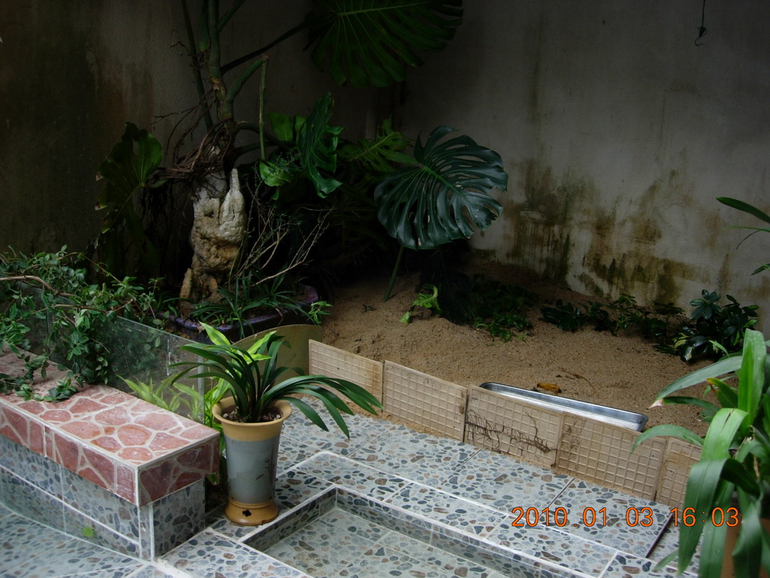 龟池记-休闲水族-北海365网(beihai365.com)