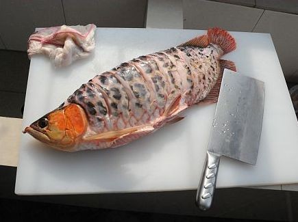 保温电费高,兄弟将他的龙招呼我们了。-休闲水