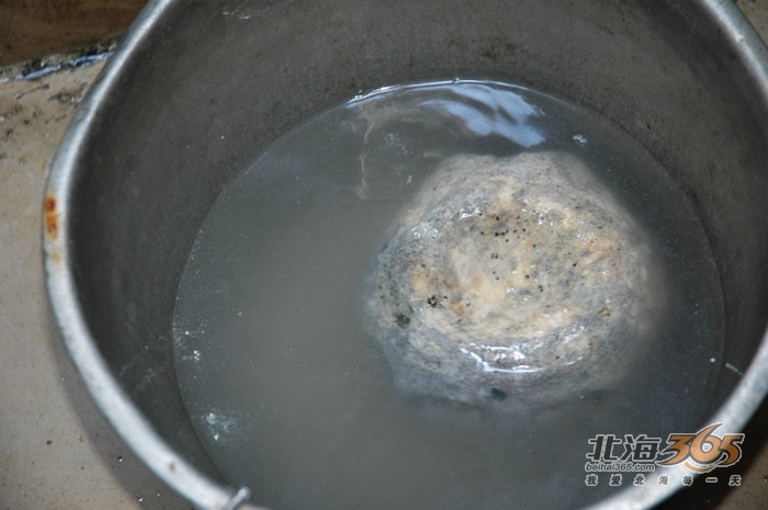 (4.19)美人鱼头骨现身老街?鼻孔眼窝清晰可见