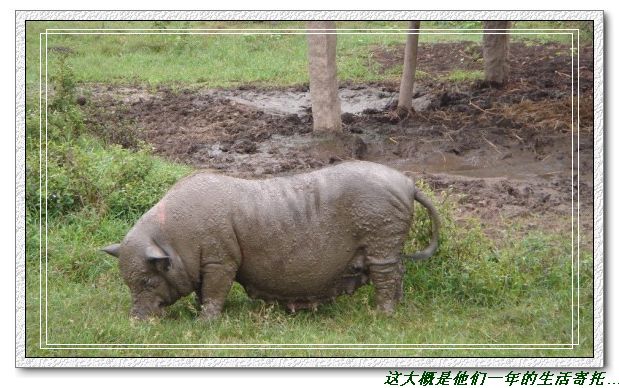 数十公里外的呐喊[9.1爱心助学路有感](图说