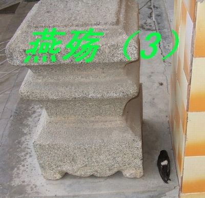 ͼƬ�ղ� 005.jpg