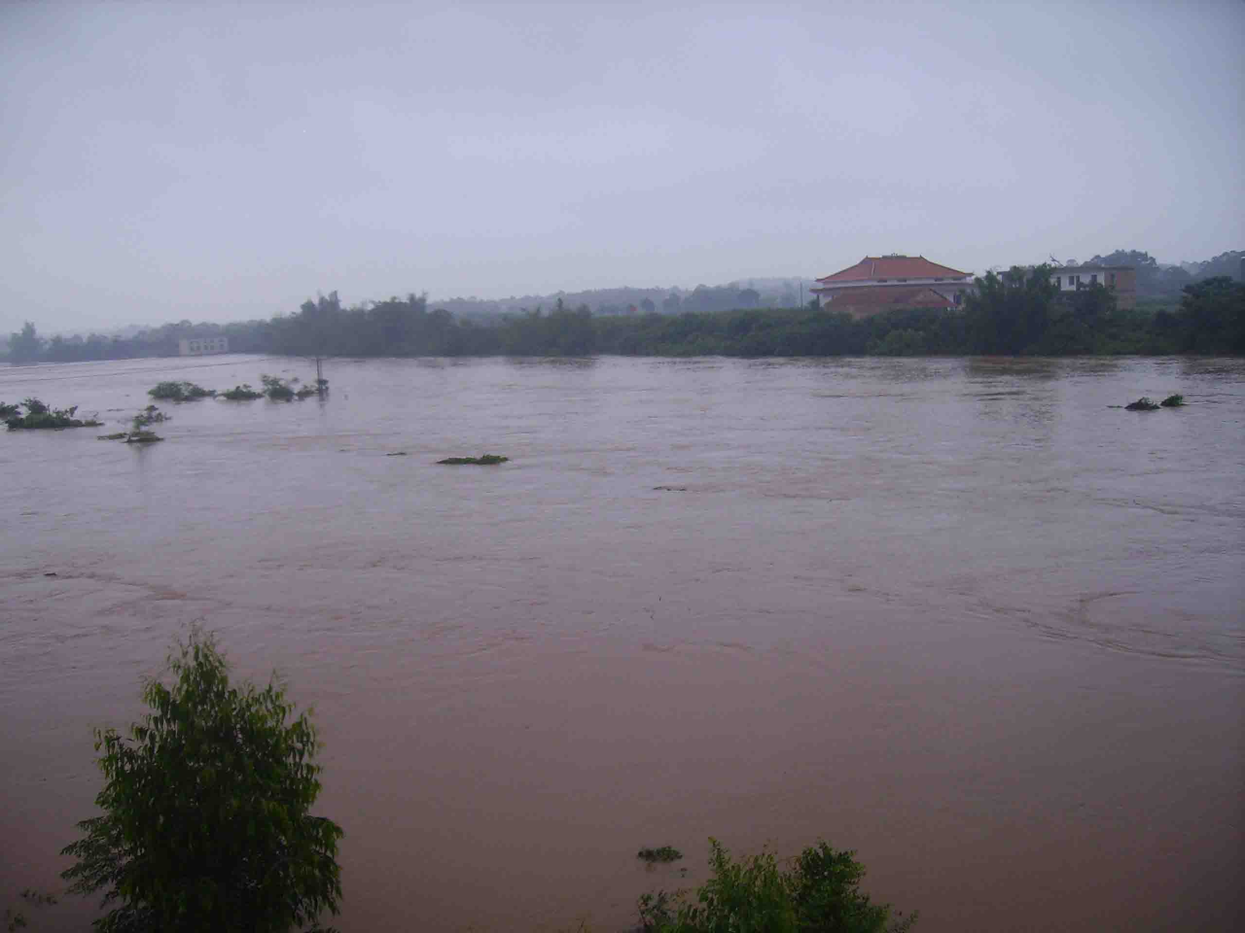 今天上午合浦白沙镇暴雨成灾,低洼地带成湖道路成河房屋被淹损失惨重