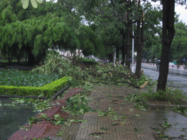 北海黑格比台风后的第二天清晨的情景(多图
