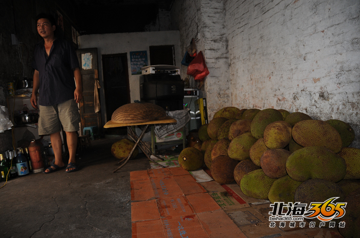 你知道北海有木菠萝一条街吗?现在一年四季都