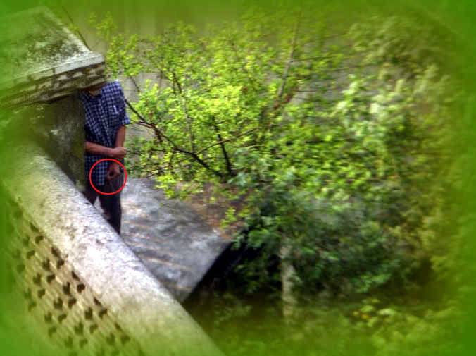 惊恐--第一偷青高手现身-北海旧事开讲-北海36