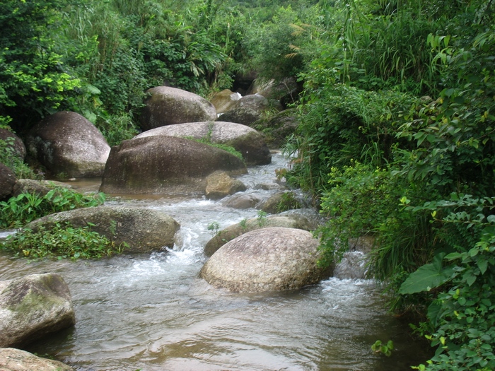 容县松山镇大水村风光