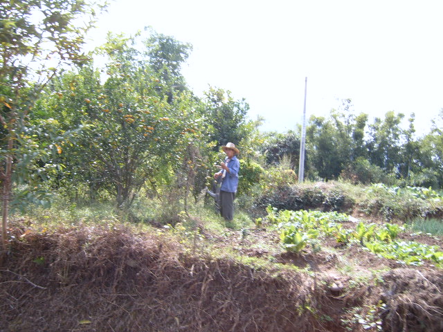 SUC58990.JPG