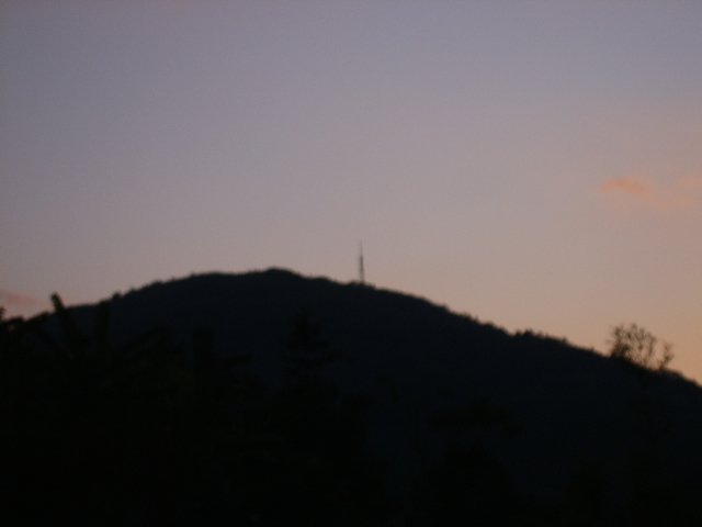 SUC59045.JPG