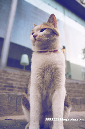 6.21更新:给我一秒钟爱你一辈子-人像摄影-北海