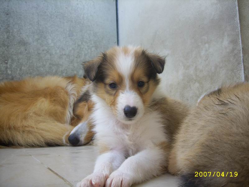 20070419_b2aeeb48d7d0cfe891db0UBaFfbC0xeH.jpg